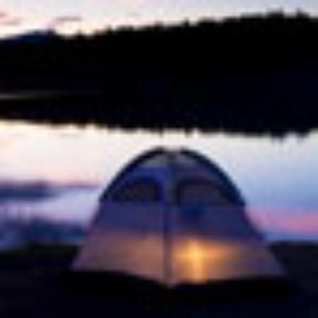 The Palms Restaurant